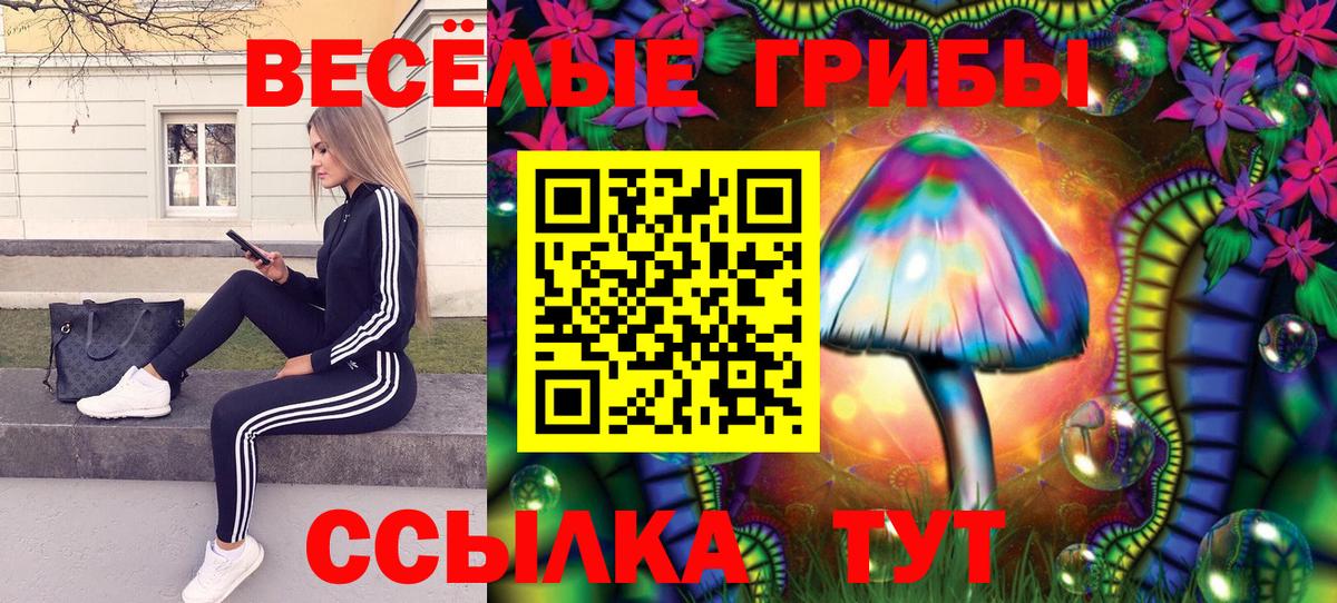 Дюртюли  Галлюциногенные грибы ЛСД  Вход с VPN 