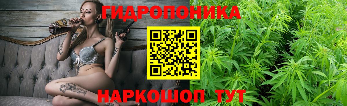 Бошки Шишки THC 21%  Конопля конопля  Конопля индика  Вход с VPN  Дюртюли 